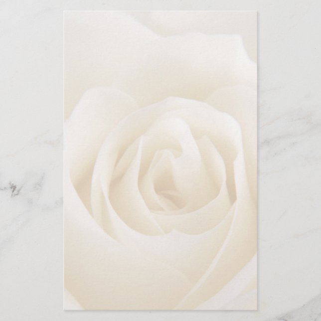 Papelería Magnífica rosa de crema blanca Stationery (Anverso)