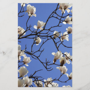 Papelería Magnolias florecientes