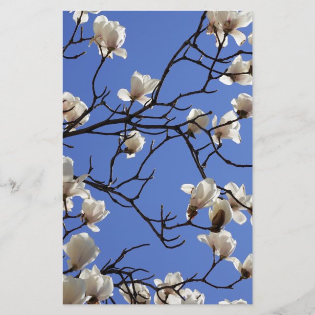 Papelería Magnolias florecientes (Anverso)