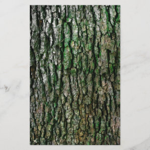 Papelería Maletero de árbol (corteza de madera)