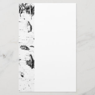 Papelería Maletero de Birch