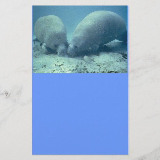 Papelería Manatee Moments Stationery (Anverso)