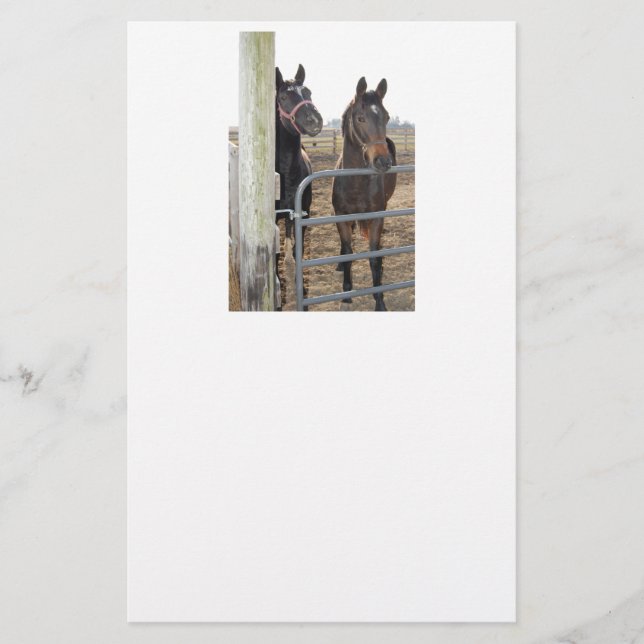 Papelería Mancha de caballos (Anverso)