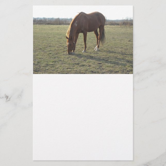 Papelería Mano de caballo (Anverso)