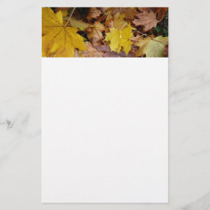 Papelería Maple caído deja naturaleza otoño amarilla