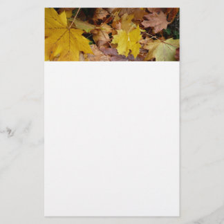 Papelería Maple caído deja naturaleza otoño amarilla