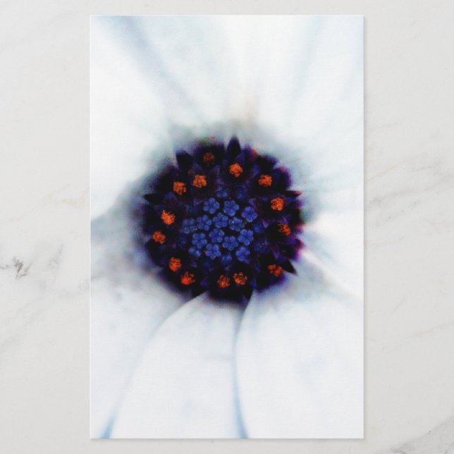Papelería Margarita Africana (Anverso)