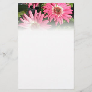 Papelería Margarita rosada del Gerbera