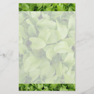 Papelería Marigold Seedlings Stationery