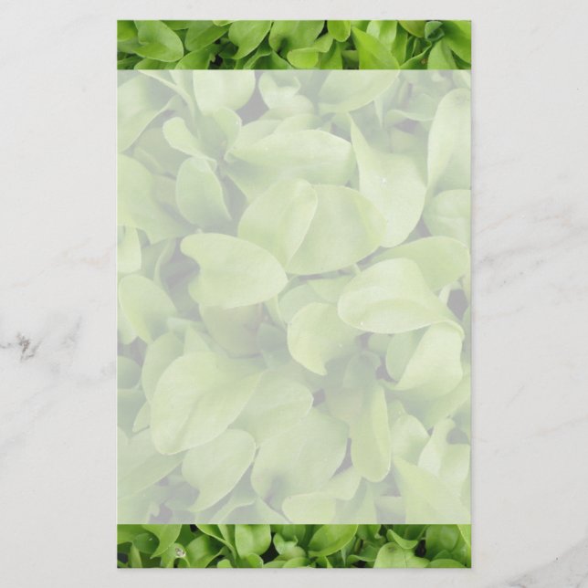 Papelería Marigold Seedlings Stationery (Anverso)