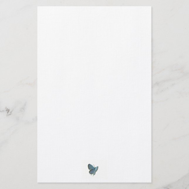 Papelería Mariposa azul de cola oriental (Anverso)