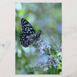 Papelería Mariposa Azul Y Negro