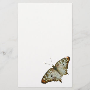 Papelería Mariposa exótica de Santa Lucía