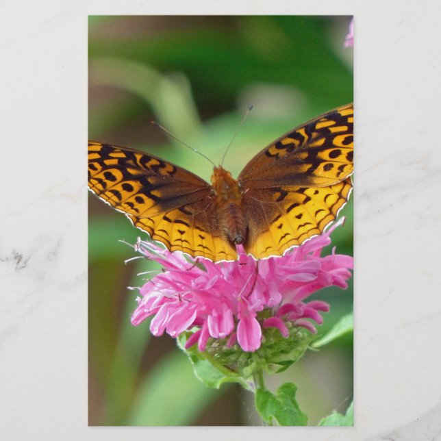 Papelería Mariposa Silvery Checkerspot (Anverso)