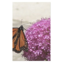 Mariposa y cebolla gigante