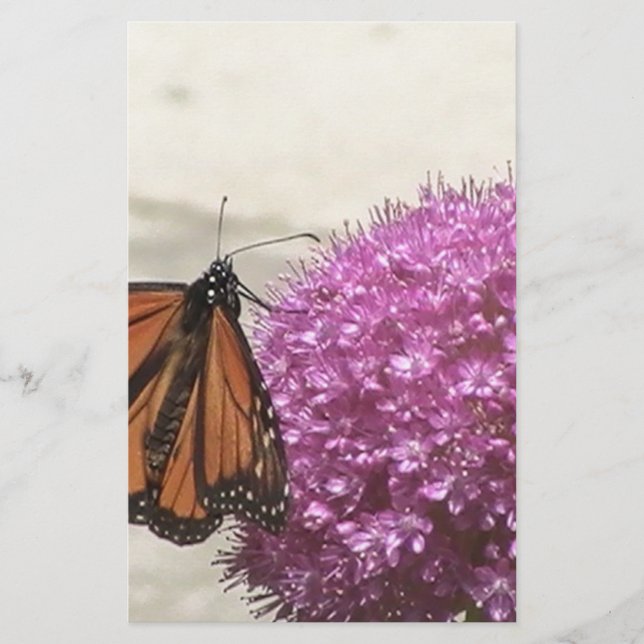 Papelería Mariposa y cebolla gigante (Anverso)