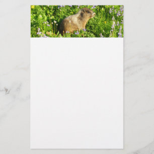 Papelería Marmot en Mont Rainier Wildflowers