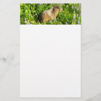 Papelería Marmot en Mont Rainier Wildflowers