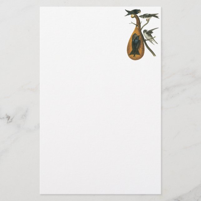 Papelería Martin púrpura, Juan Audobon (Anverso)