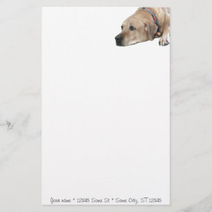 Papelería Mascota Rhodesian Ridgeback