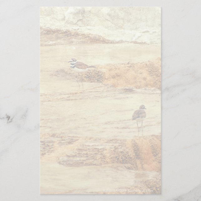 Papelería Matador (Anverso)