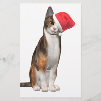 Papelería Meowy Navidades con un gato juguetón en un gorra