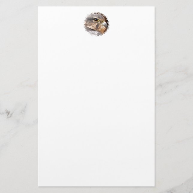 PAPELERÍA MERLIN FALCON BIRD DE PRESA (Anverso)