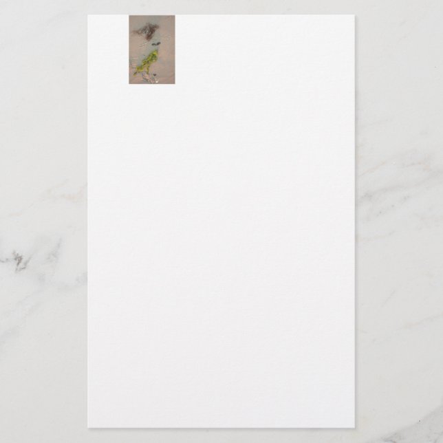 Papelería Mermaid (Anverso)