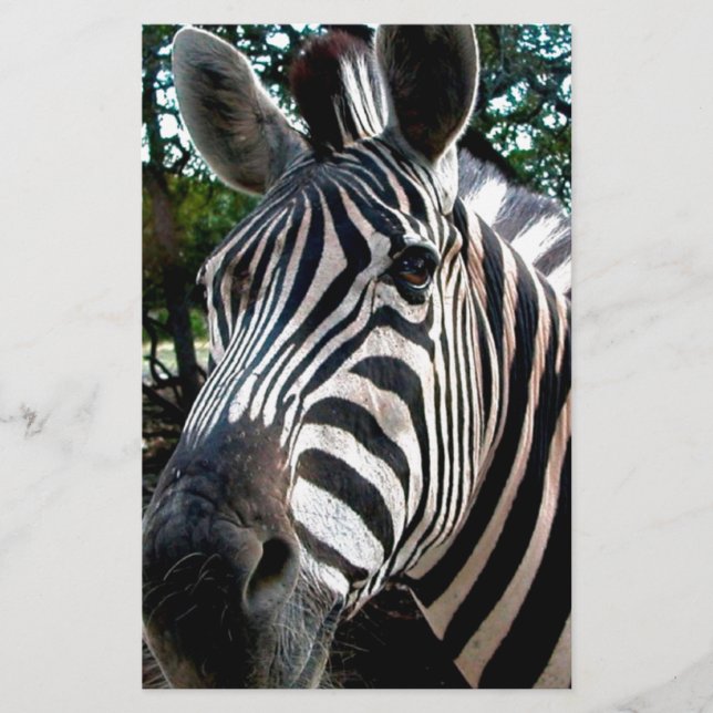 Papelería Mi amigo strippy (Anverso)