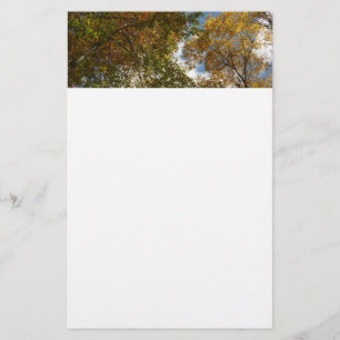 Papelería Mirando hacia arriba la naturaleza otoñal de las h
