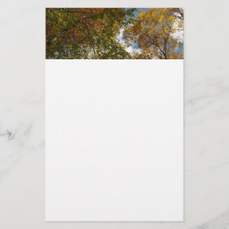 Papelería Mirando hacia arriba la naturaleza otoñal de las h