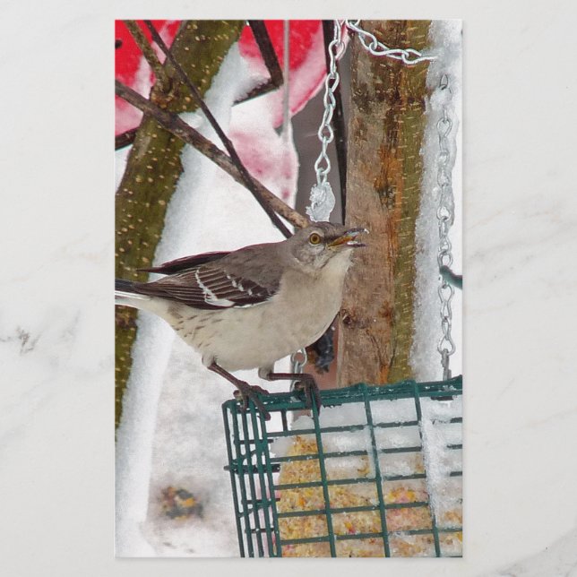 Papelería Mockingbird (Anverso)