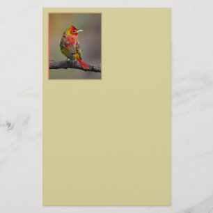 Papelería Moldura de Tanager de escarlata - Fotografía origi