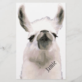 Papelería Moma Llama