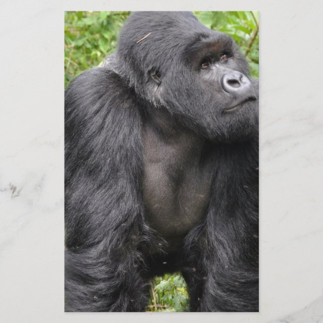 Papelería Mono feliz (Anverso)