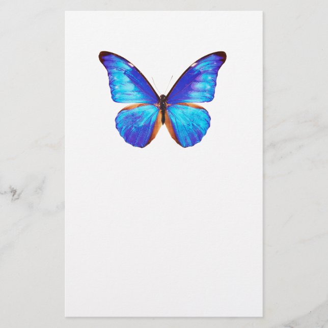 Papelería “Morpho”の優良製品 (Anverso)