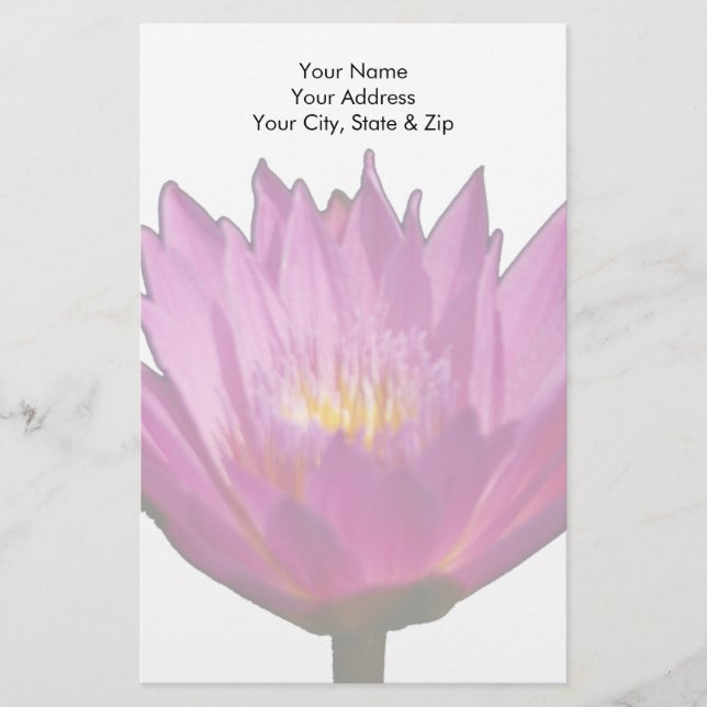 Papelería Morple Waterlily Lotus (Anverso)