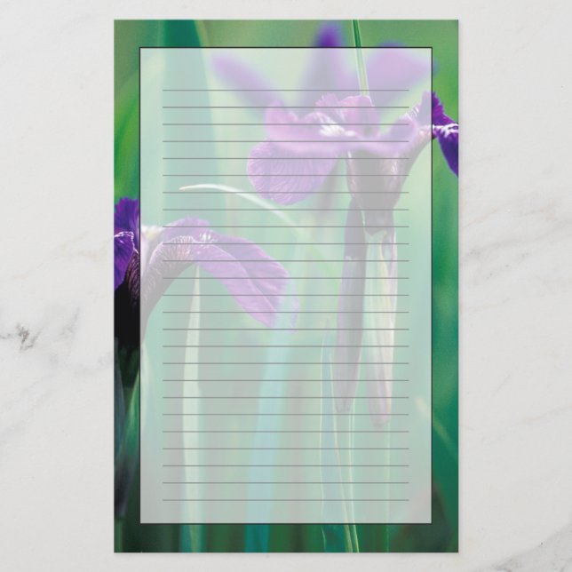 Papelería NA, EE.UU., Alaska, isla Knight, iris silvestre (Anverso)