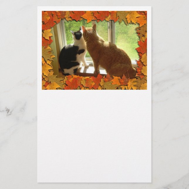 Papelería Naranja de otoño Tabby Cats (Anverso)