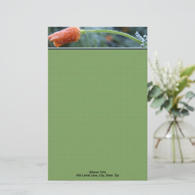 Papelería Naranja escarchado California Poppy Personalizado (Anverso de pie)