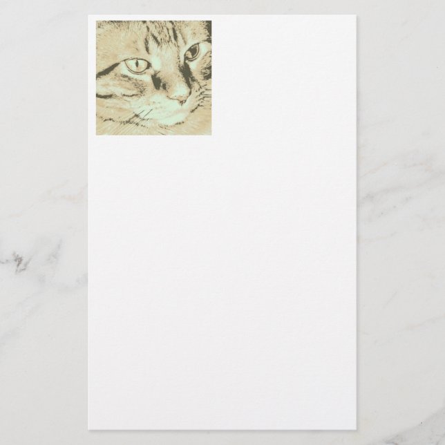 Papelería Naranja Tabby Cat (Anverso)