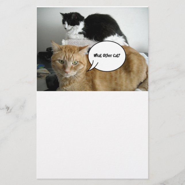 Papelería Naranja Tabby Cat Lo siento (Anverso)