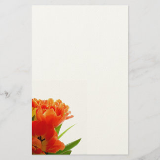 Papelería Naranja Tulips Stationary