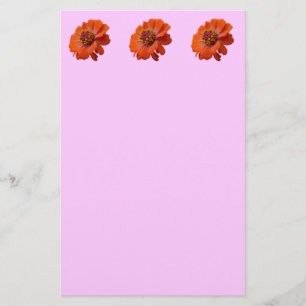 Papelería Naranja Zinnia Wildflower Naturaleza Floral