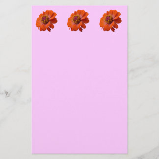 Papelería Naranja Zinnia Wildflower Naturaleza Floral