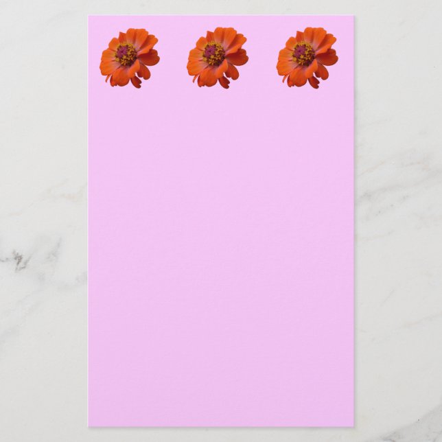 Papelería Naranja Zinnia Wildflower Naturaleza Floral (Anverso)