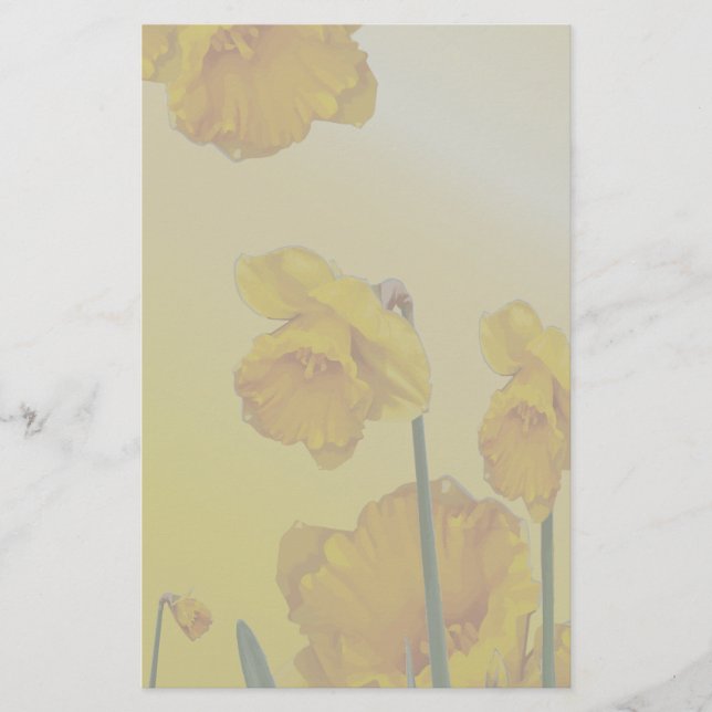 Papelería Narciso amarillo Daffodil (Anverso)
