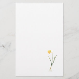 Papelería narciso (pseudo-narciso del narciso) por Redouté