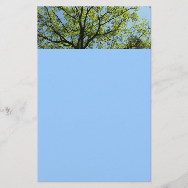Papelería Naturaleza vibrante del roble de primavera (Anverso)