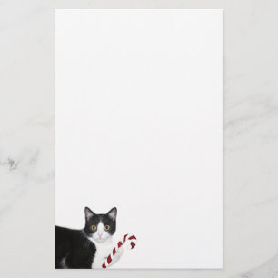 Papelería Navidad del gato del smoking